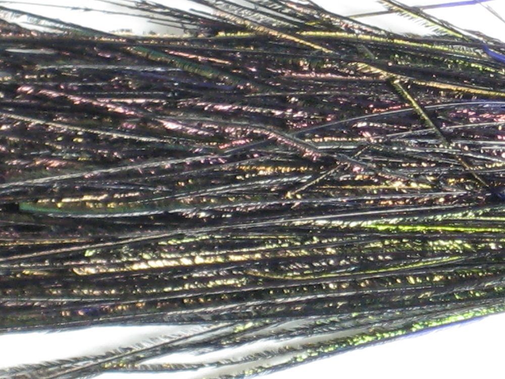 Strung Peacock Herl – Lively Legz Fly Fishing